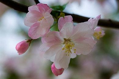 《战地2042》更新要来 韩国万花筒地图重做